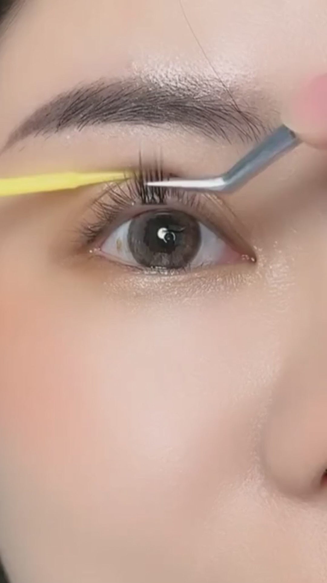 Dreamy Lash Kit