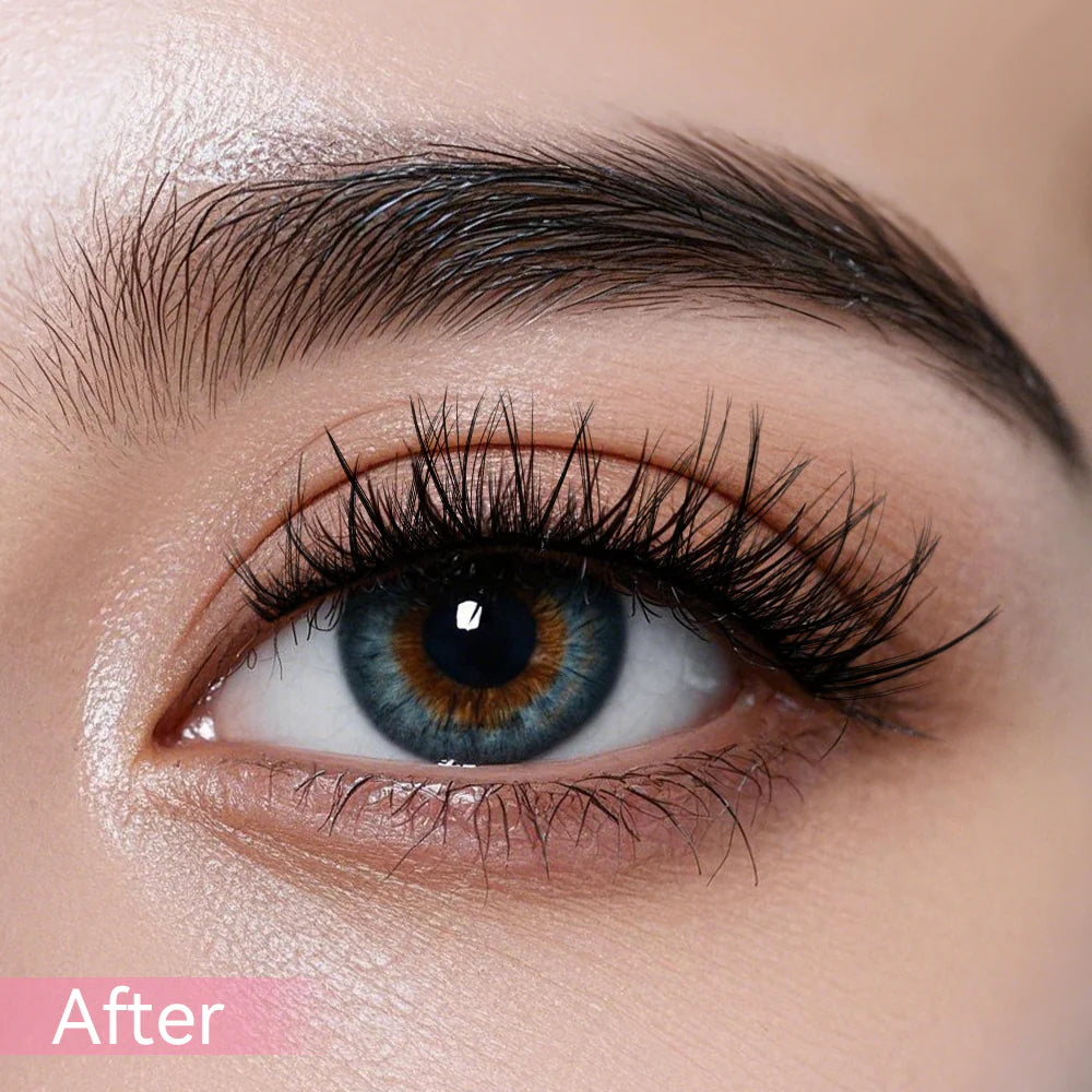Venus Lash Kit