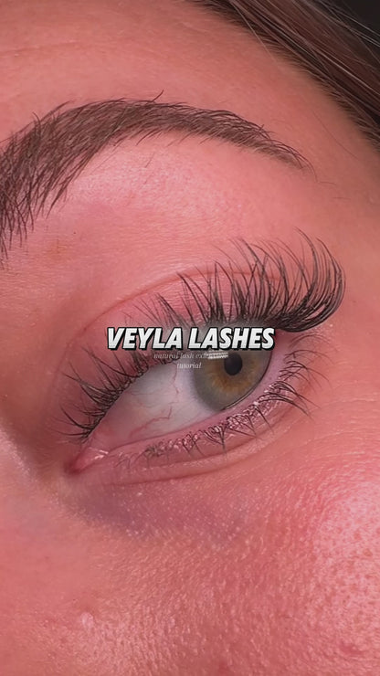 Venus Lash Kit